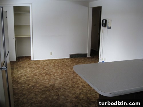 How to Remove Carpet and Remodel a White Kitchen Quickly 3 Before kitchen photo 2