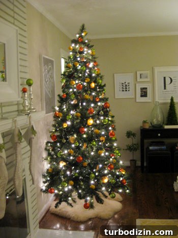 How to Make Dried Orange Slice Ornaments for Holiday Décor 2 img 19770 1