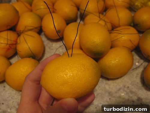 How to Make Dried Orange Slice Ornaments for Holiday Décor 11 img 19770 10