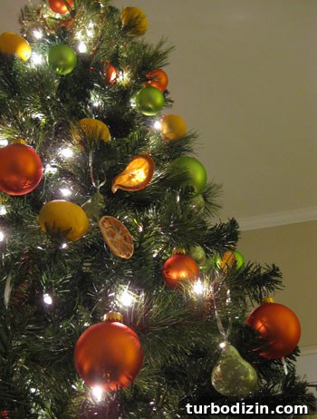 How to Make Dried Orange Slice Ornaments for Holiday Décor 12 img 19770 11