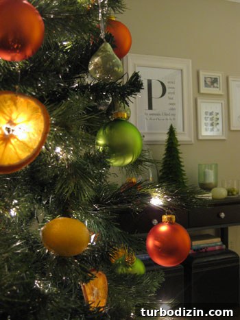 How to Make Dried Orange Slice Ornaments for Holiday Décor 13 img 19770 12