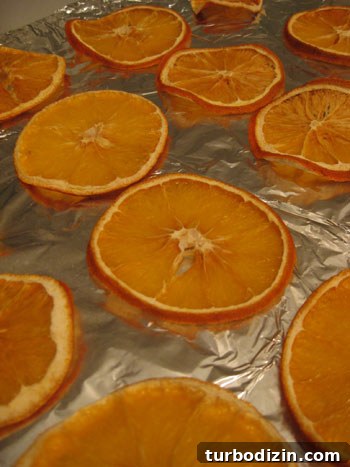 How to Make Dried Orange Slice Ornaments for Holiday Décor 7 img 19770 6