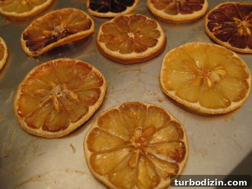 How to Make Dried Orange Slice Ornaments for Holiday Décor 8 img 19770 7