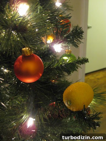 How to Make Dried Orange Slice Ornaments for Holiday Décor 10 img 19770 9