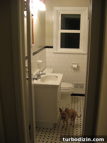 img 19949 1