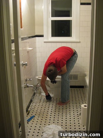 img 19949 4