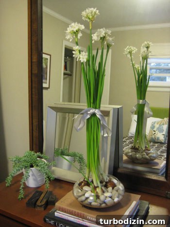 18 Creative Christmas Decorating Ideas and DIY Projects 16 Paperwhites