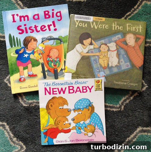 Top Children's Books to Prepare a New Big Sister or Brother 5 big sister book recommendations