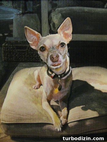 Unexpected Christmas Surprises That Will Brighten Your Holiday 4 Custom portrait of our dog Burger