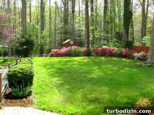 Our Home Through the Four Seasons: Photos and Seasonal Decor Tips 5 Backyard in spring