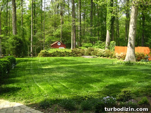 Our Home Through the Four Seasons: Photos and Seasonal Decor Tips 6 Backyard in summer