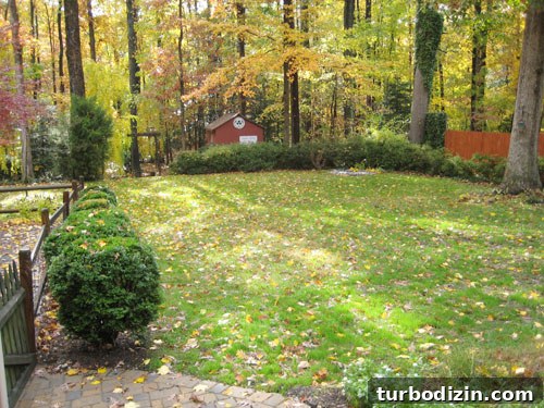 Our Home Through the Four Seasons: Photos and Seasonal Decor Tips 7 Backyard in fall