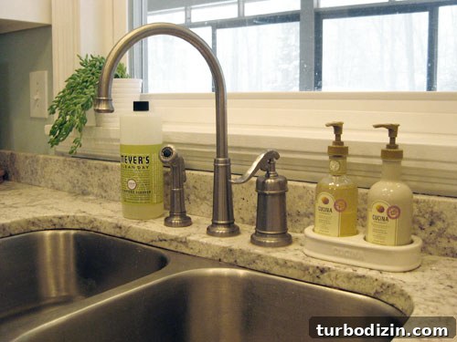 Replace a Kitchen Faucet: Step-by-Step Guide for Homeowners 2 img 22195 1