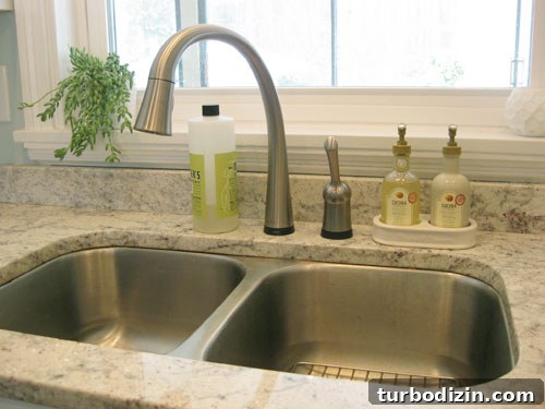Replace a Kitchen Faucet: Step-by-Step Guide for Homeowners 17 img 22195 19