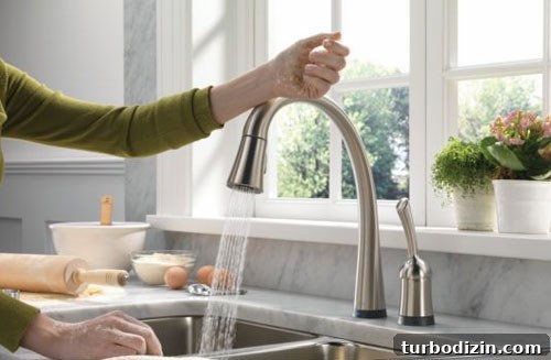 Replace a Kitchen Faucet: Step-by-Step Guide for Homeowners 3 img 22195 2