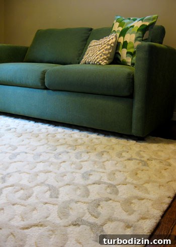Affordable Sleeper Sofas: How to Find One That Fits Your Budget 16 img 23549 15