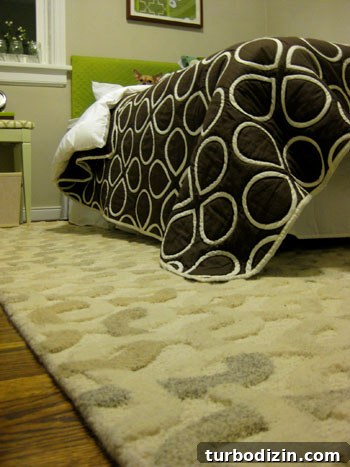 Affordable Sleeper Sofas: How to Find One That Fits Your Budget 6 img 23549 5