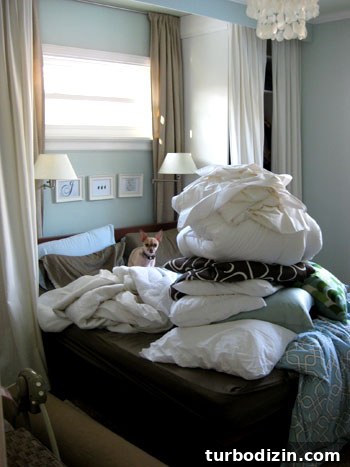 Affordable Sleeper Sofas: How to Find One That Fits Your Budget 8 img 23549 7