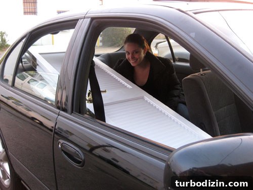5 Ways to Transport Oversized Items That Don’t Fit in Your Car 5 Sherry sitting in backseat of a car with doors through passenger seat