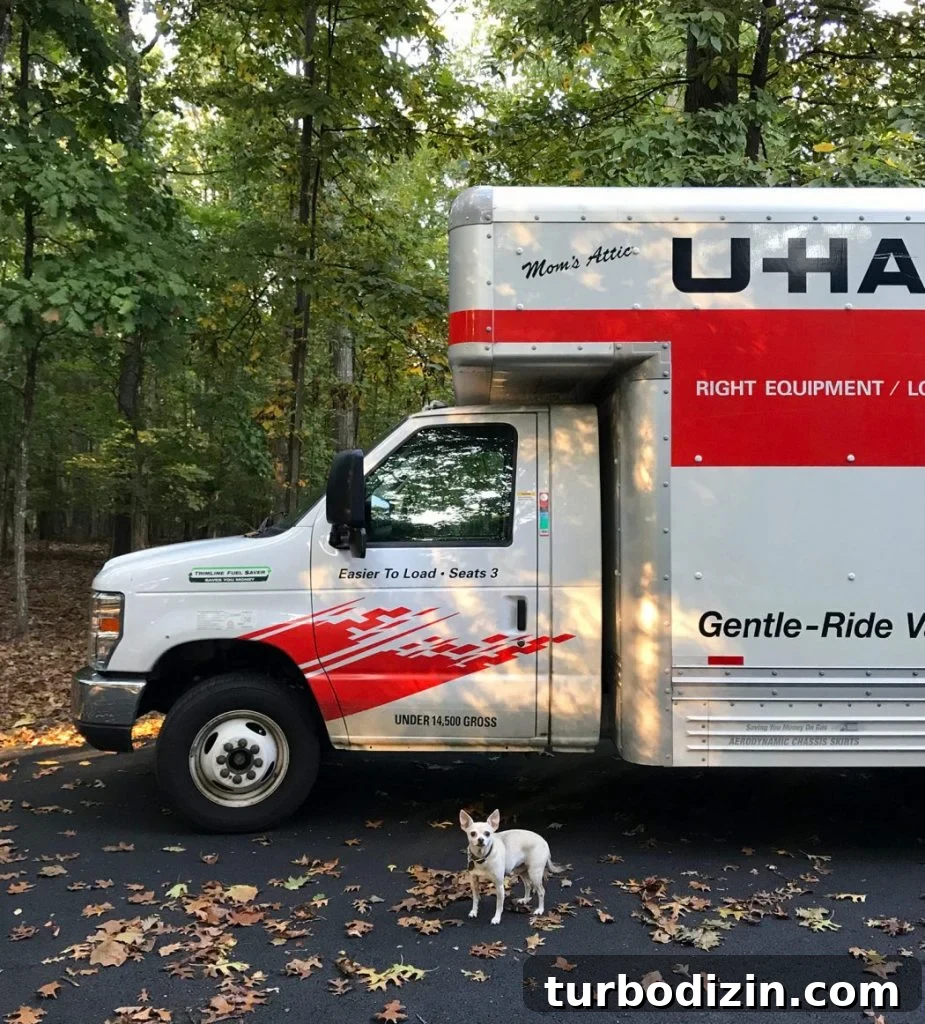 5 Ways to Transport Oversized Items That Don’t Fit in Your Car 6 Uhaul moving truck with chihuahua out front