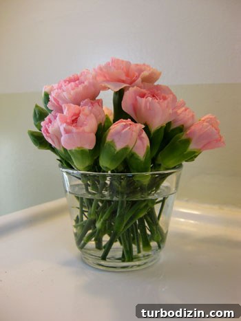 Pretty in Pink: Budget-Friendly Floral Decorating Ideas 6 img 23806 5