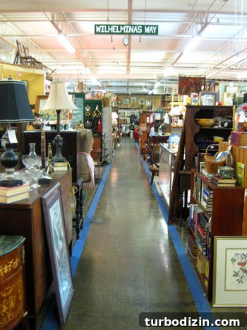 Window Shopping in Charlotte: A Local's Guide to the Top Spots 9 img 23931 8