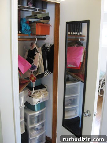 Declutter Your Closet: Simple Steps to Tidy, Organized Space 3 img 23940 2