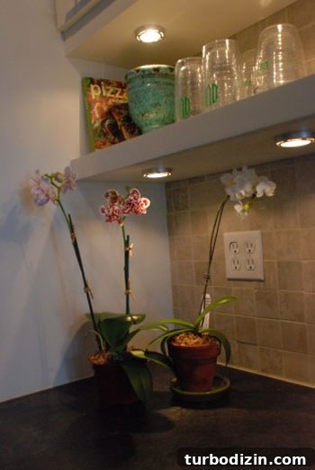 Kitchen detail 1
