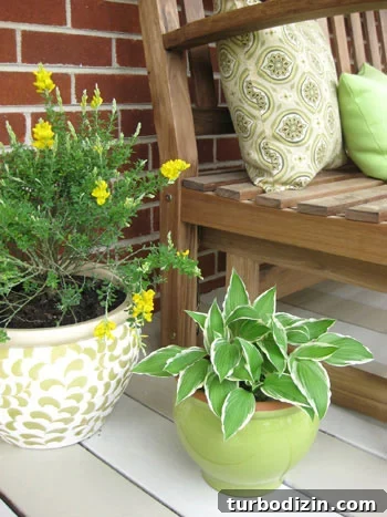 Spring Decor Ideas to Refresh Your Home This Season 13 Bright outdoor pillows