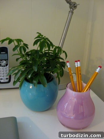 Affordable April Houseplants: Fresh Greenery Tips and Picks 2 Small leafy houseplant in turquoise ceramic pot