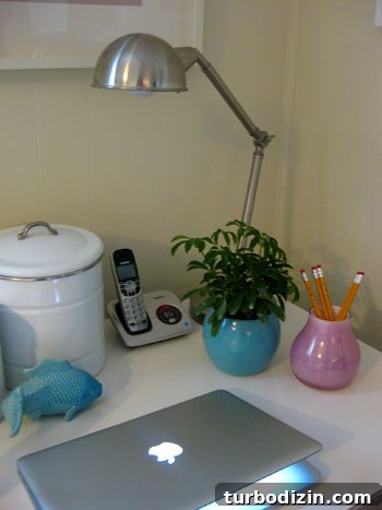Affordable April Houseplants: Fresh Greenery Tips and Picks 3 Close-up of the turquoise potted plant next to a pink vase