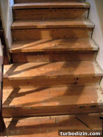 How to Install a New Stair Runner and Add Molding 2 Before photo of carpeted stairs