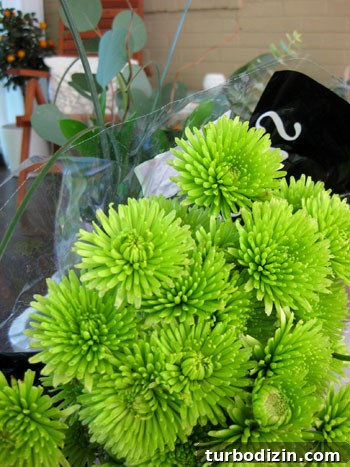 Magazine Photoshoots Hosted at Our Home: Behind-the-Scenes Guide 5 Fresh flowers on set