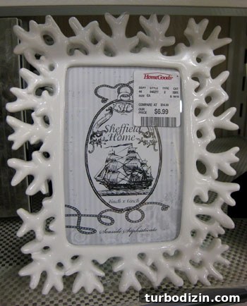HomeGoods Finds: Window Shopping for Home Decor Inspiration 9 Beachy coral frame