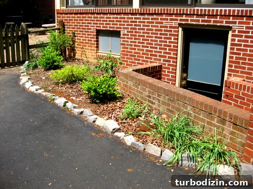 Edible Garden One Year Later: What We Grew and Learned 2 Backyard garden bed