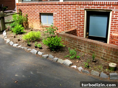 Edible Garden One Year Later: What We Grew and Learned 4 Garden with shrubs and herbs