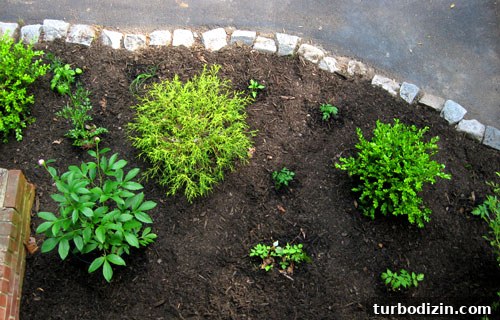 Edible Garden One Year Later: What We Grew and Learned 6 Aerial view of garden from sunroom