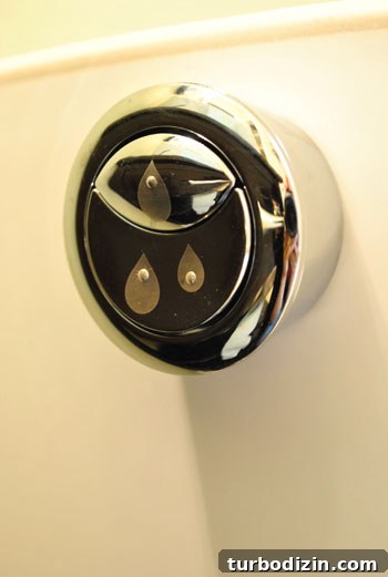 Dual flush toilet flush button on side of toilet tank