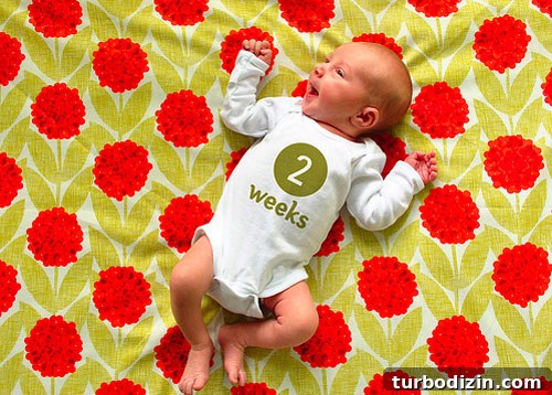 5 Must-Have Baby Items + Free Printable Baby Book 8 Weekly photo project 2