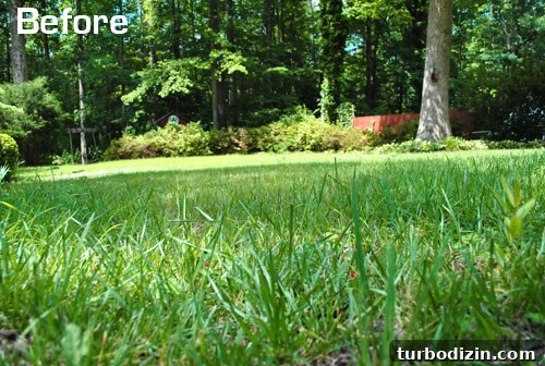 Testing an Eco-Friendly Reel Mower: Quiet Lawn Care Guide 10 Cleanly cut lawn