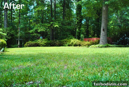 Testing an Eco-Friendly Reel Mower: Quiet Lawn Care Guide 11 Finished lawn