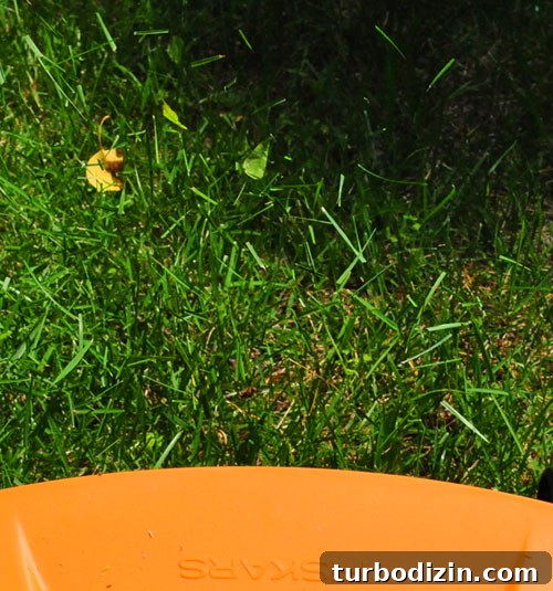 Testing an Eco-Friendly Reel Mower: Quiet Lawn Care Guide 9 Mowing the lawn
