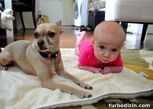 14 Smart Ways to Save Money When You Have a Baby 10 img 27570 9