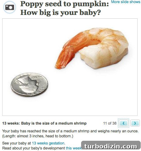 New Role Alert: We're Joining the BabyCenter Team 2 img 27727 1