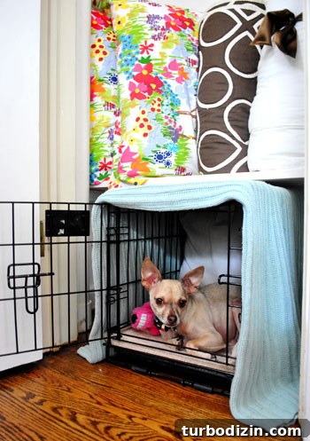 Add a Closet Shelf to Fit and Hide a Dog Crate 14 img 27860 14