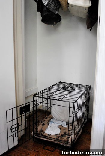 Add a Closet Shelf to Fit and Hide a Dog Crate 4 img 27860 3