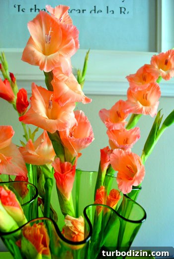 Pink Flower Bouquet Ideas: Romantic Arrangements for Any Occasion 4 Tall pink gladiolus stems