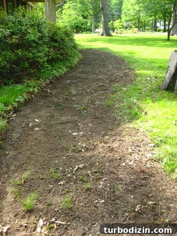 smallwalkway2 Walkway after removing overgrown grass and old slate