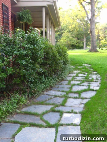img_1805 Grass filling in between slate stones