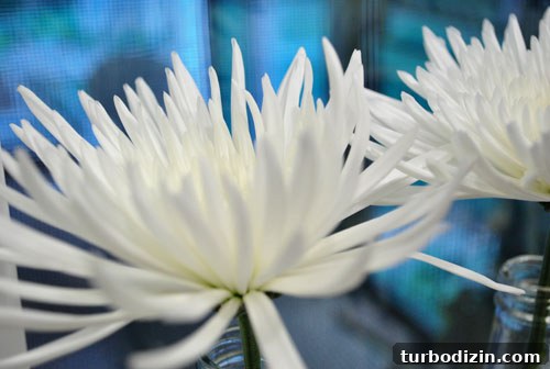 Upcycle Izze Soda Bottles into Stylish Glass Vases 4 img 28285 3
